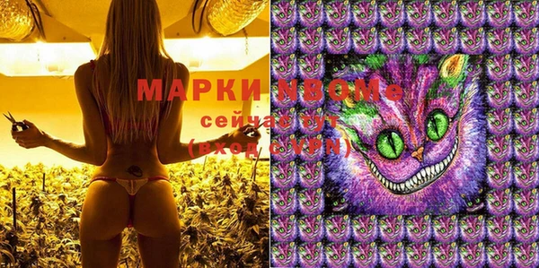 молекула духа Горняк