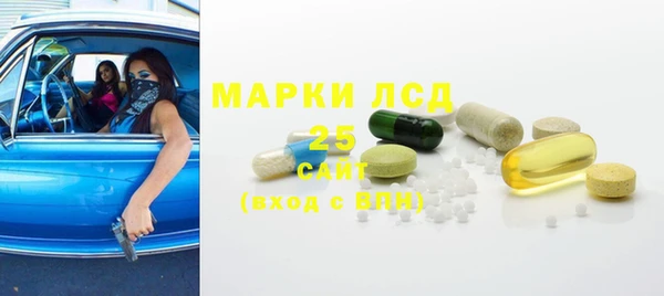 ГАЛЛЮЦИНОГЕННЫЕ ГРИБЫ Горно-Алтайск