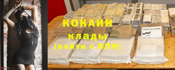 молекула духа Горняк