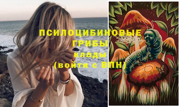 ГАЛЛЮЦИНОГЕННЫЕ ГРИБЫ Горно-Алтайск
