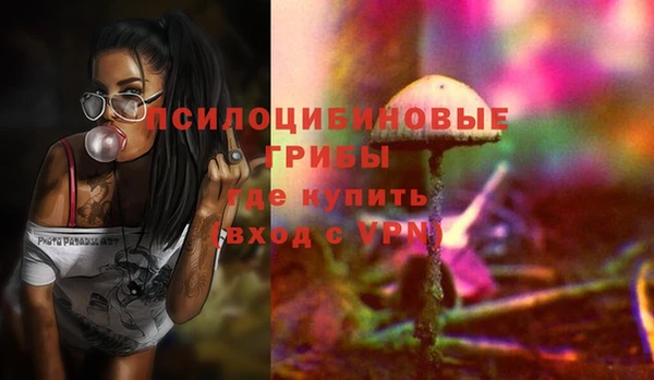 молекула духа Горняк